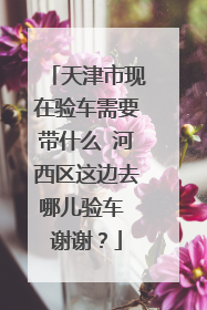 天津市现在验车需要带什么 河西区这边去哪儿验车 谢谢？