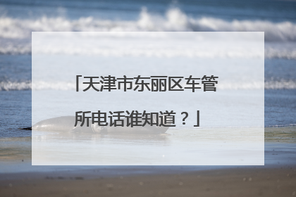 天津市东丽区车管所电话谁知道？