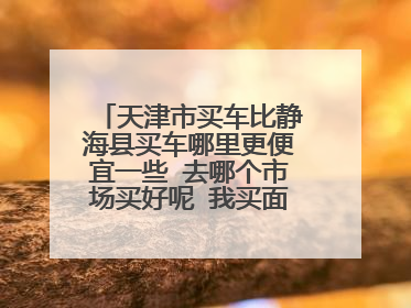 天津市买车比静海县买车哪里更便宜一些 去哪个市场买好呢 我买面包车 五菱之光一类的
