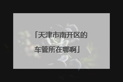 天津市南开区的车管所在哪啊