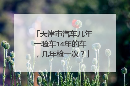 天津市汽车几年一验车14年的车，几年检一次？