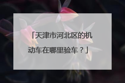 天津市河北区的机动车在哪里验车？