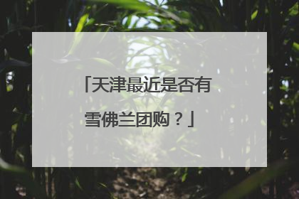 天津最近是否有雪佛兰团购？