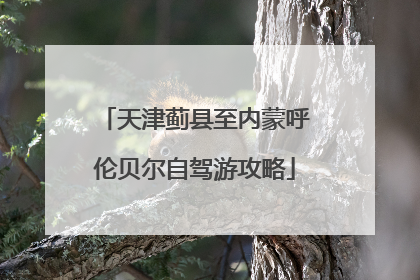 天津蓟县至内蒙呼伦贝尔自驾游攻略