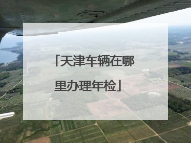 天津车辆在哪里办理年检