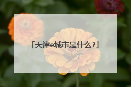 天津e城市是什么?