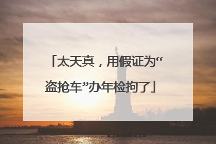 太天真，用假证为“盗抢车”办年检拘了