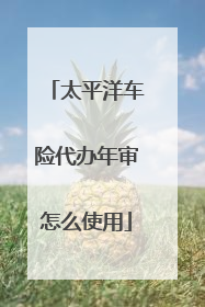 太平洋车险代办年审怎么使用