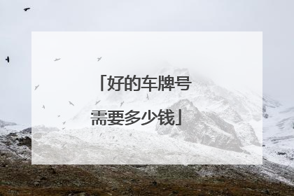 好的车牌号需要多少钱