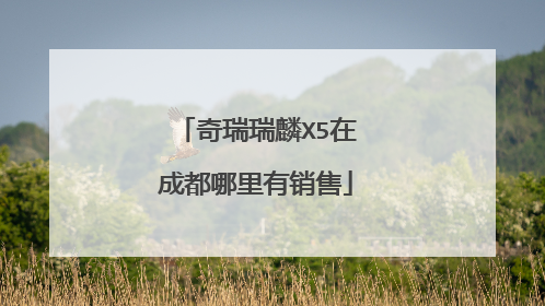 奇瑞瑞麟X5在成都哪里有销售