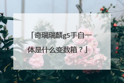 奇瑞瑞麟g5手自一体是什么变数箱？