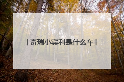 奇瑞小宾利是什么车