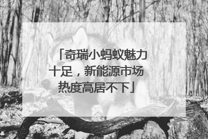 奇瑞小蚂蚁魅力十足，新能源市场热度高居不下