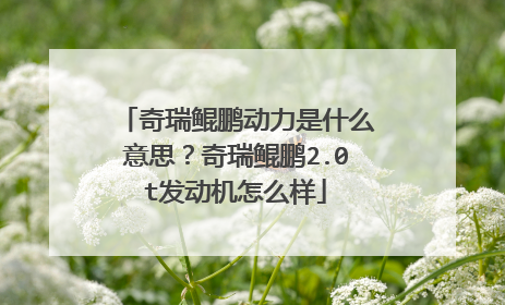 奇瑞鲲鹏动力是什么意思？奇瑞鲲鹏2.0t发动机怎么样
