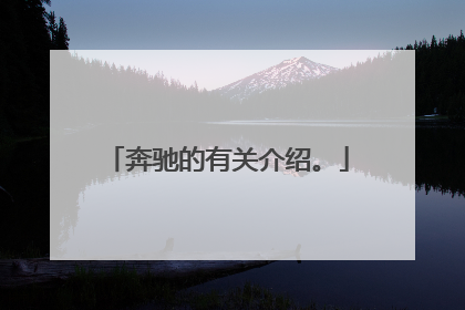 奔驰的有关介绍。