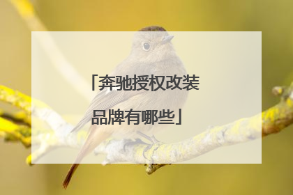 奔驰授权改装品牌有哪些