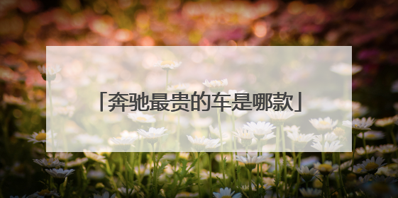 奔驰最贵的车是哪款