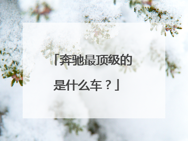 奔驰最顶级的是什么车？