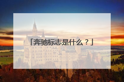 奔驰标志是什么？