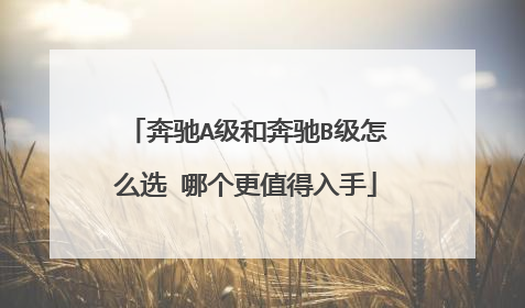 奔驰A级和奔驰B级怎么选 哪个更值得入手