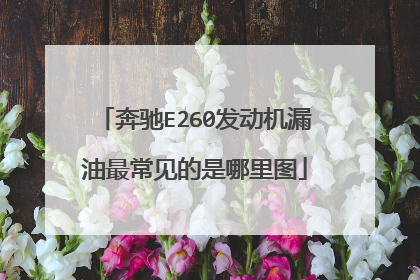 奔驰E260发动机漏油最常见的是哪里图