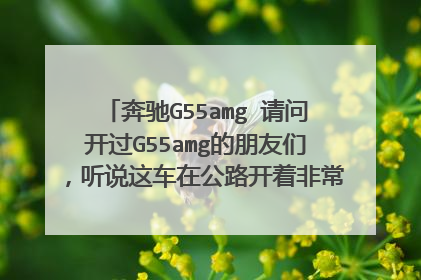 奔驰G55amg 请问开过G55amg的朋友们，听说这车在公路开着非常不舒服，不紧致？