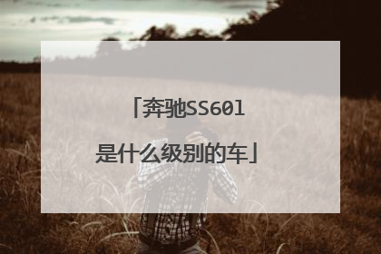 奔驰SS60l是什么级别的车