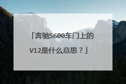 奔驰S600车门上的V12是什么意思？