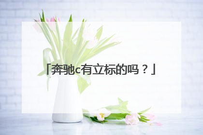 奔驰c有立标的吗？