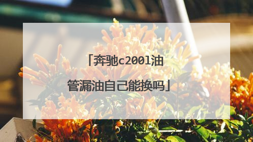 奔驰c200l油管漏油自己能换吗