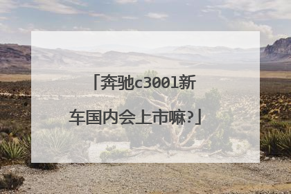 奔驰c300l新车国内会上市嘛?