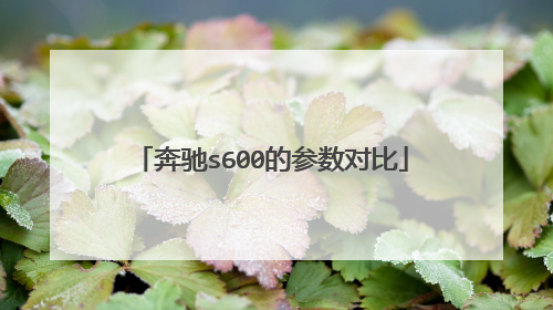 奔驰s600的参数对比