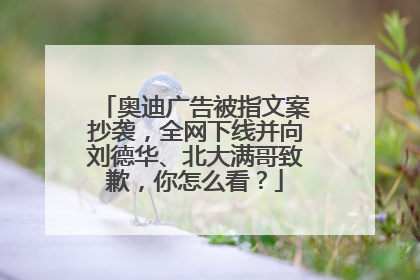 奥迪广告被指文案抄袭，全网下线并向刘德华、北大满哥致歉，你怎么看？