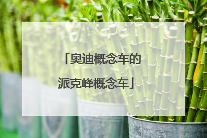 奥迪概念车的派克峰概念车