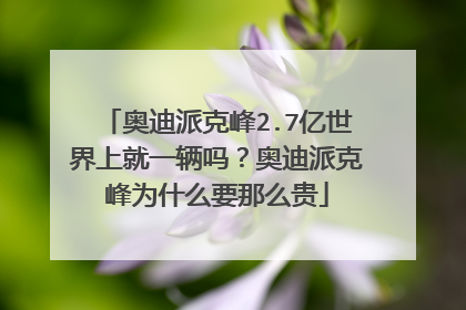 奥迪派克峰2.7亿世界上就一辆吗？奥迪派克峰为什么要那么贵