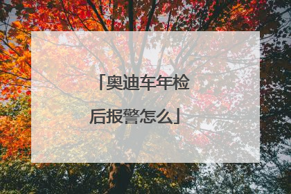 奥迪车年检后报警怎么