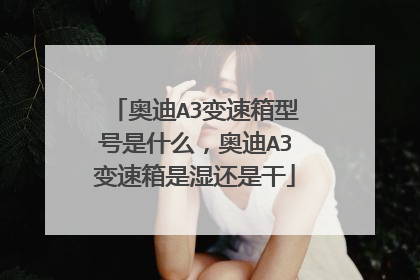 奥迪A3变速箱型号是什么，奥迪A3变速箱是湿还是干