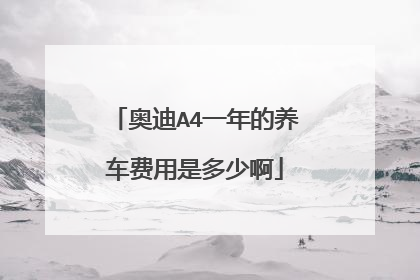 奥迪A4一年的养车费用是多少啊