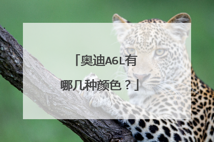 奥迪A6L有哪几种颜色？