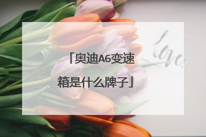 奥迪A6变速箱是什么牌子