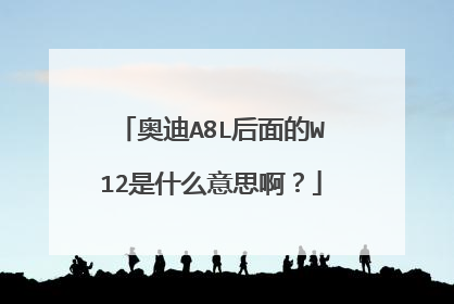 奥迪A8L后面的W12是什么意思啊？
