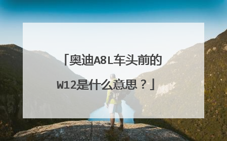 奥迪A8L车头前的W12是什么意思？