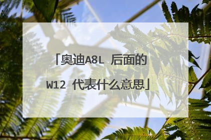 奥迪A8L 后面的 W12 代表什么意思