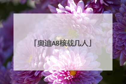 奥迪A8核载几人