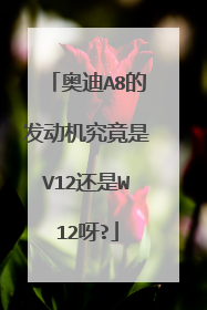 奥迪A8的发动机究竟是V12还是W12呀?