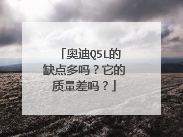 奥迪Q5L的缺点多吗？它的质量差吗？