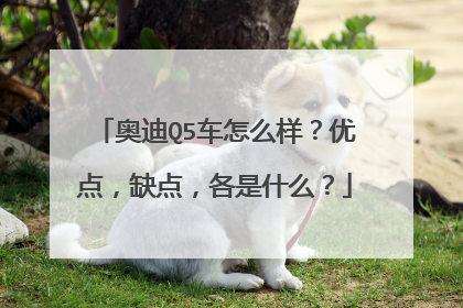 奥迪Q5车怎么样？优点，缺点，各是什么？