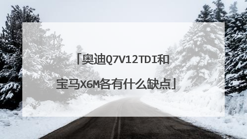 奥迪Q7V12TDI和宝马X6M各有什么缺点