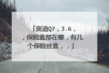 奥迪Q7，3.6，，保险盒都在哪，有几个保险丝盒，，