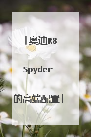 奥迪R8 Spyder的高端配置